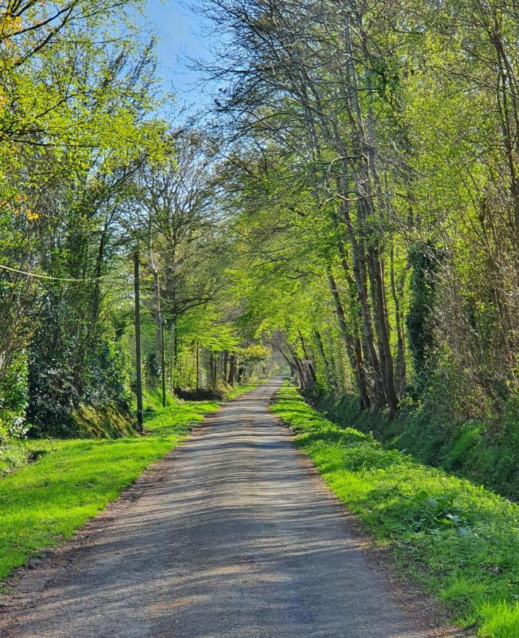 Le Clos Joly 14 Saint-Gatien-des-Bois Bagian luar foto