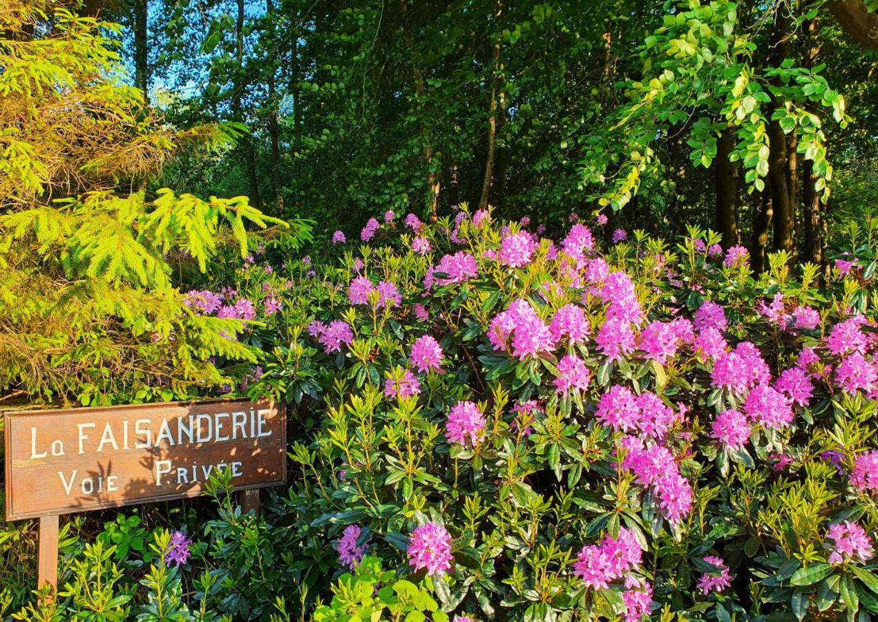 Le Clos Joly 14 Saint-Gatien-des-Bois Bagian luar foto